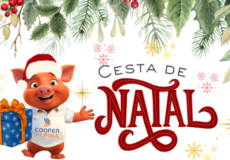 Etiqueta Cesta de Natal